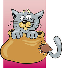 Image showing Cat in sack