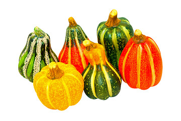 Image showing Pumpkin gourds isolated