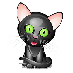 Image showing Little black cat