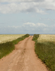 Image showing Dirt road