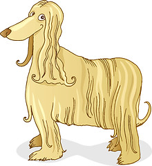 Image showing Afghan hound dog