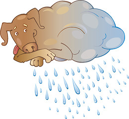 Image showing Rainy Dog