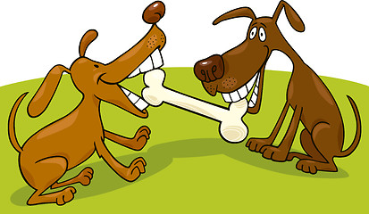 Image showing dogs playing with bone