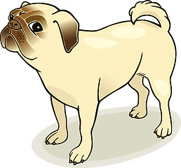 Image showing purebred pug
