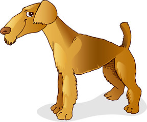 Image showing Airedale terrier dog