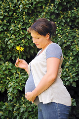 Image showing Pregnant woman holding her belly and yellow flower