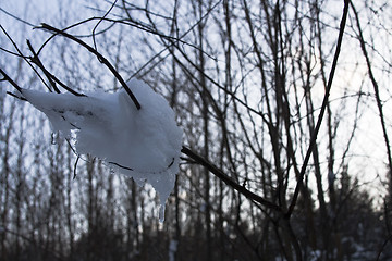 Image showing Ice and Snow