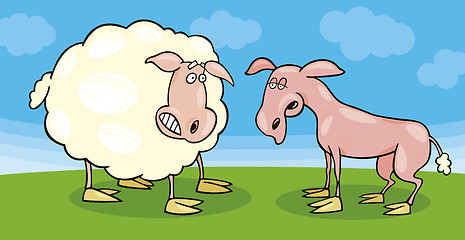 Image showing Frightened sheep and shaved one