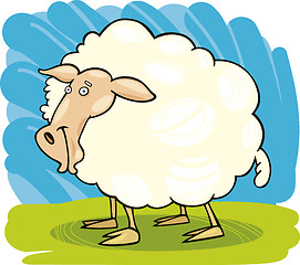 Image showing Farm animals: Sheep