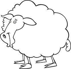 Image showing  Sheep for coloring book