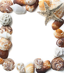 Image showing Seashells frame