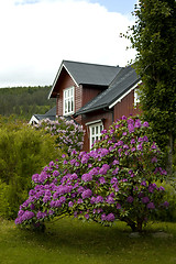 Image showing House and garden