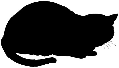 Image showing silhouette of a cat