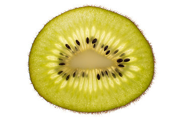 Image showing Kiwi slice