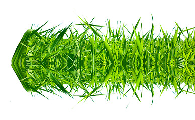 Image showing grass desire