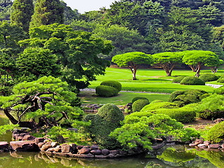 Image showing Japanese Park In Summer