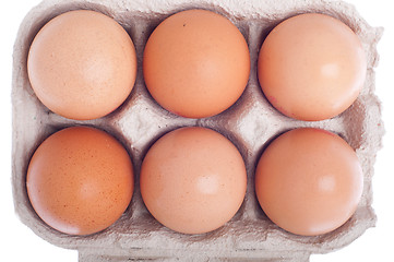 Image showing Eggs in carton