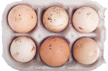 Image showing Eggs in carton