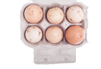 Image showing Eggs in carton