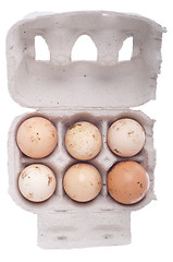 Image showing Eggs in carton