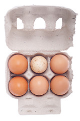 Image showing Egg box, differ one