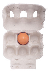 Image showing Lonely egg