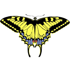 Image showing machaon butterfly