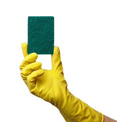 Image showing Hand in glove holding washing sponge