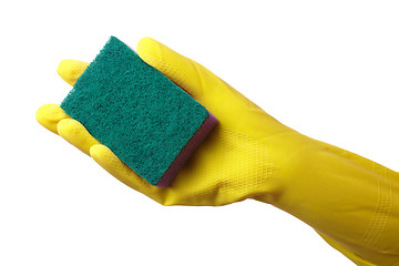 Image showing Hand in glove holding washing sponge