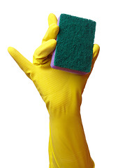 Image showing Hand in glove holding washing sponge