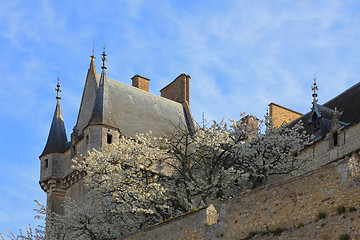 Image showing Spring at the castle