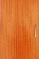 Image showing Wardrobe wooden door with metal handle