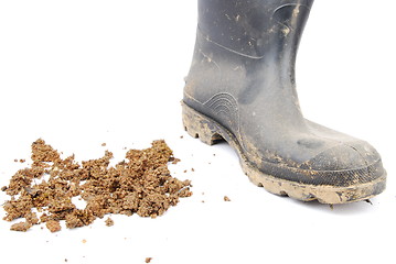 Image showing Black rubber boot and soil on white