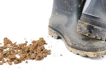 Image showing Black rubber boots and soil on white