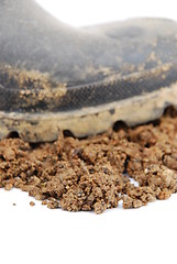 Image showing Black rubber boot and soil on white (close-up)