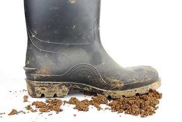 Image showing Black rubber boot and soil on white