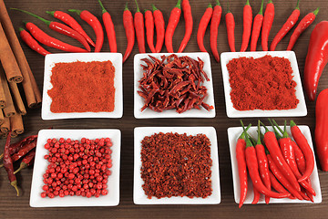 Image showing Spices