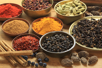 Image showing Spices