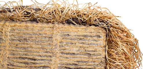 Image showing Straw.