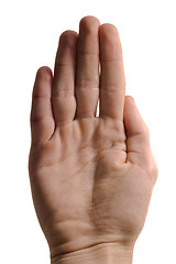Image showing Hand Gesture