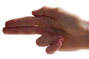 Image showing Hand Gesture