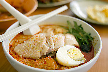 Image showing Chicken Curry Noodles