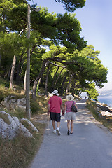 Image showing Mature couple walk