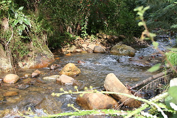 Image showing Peaceful Stream