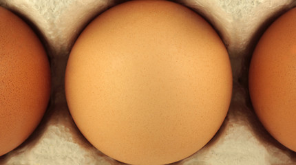 Image showing Egg on carton