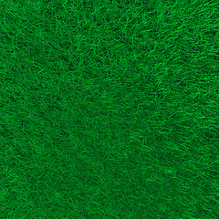 Image showing Green Grass Background