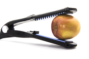 Image showing Jaws of a flat curling iron biting an apple