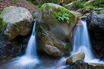 Image showing Twin falls