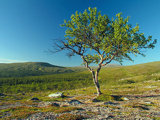 Image showing Nature landscape