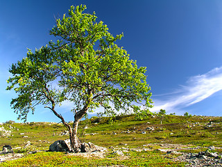 Image showing Nature landscape